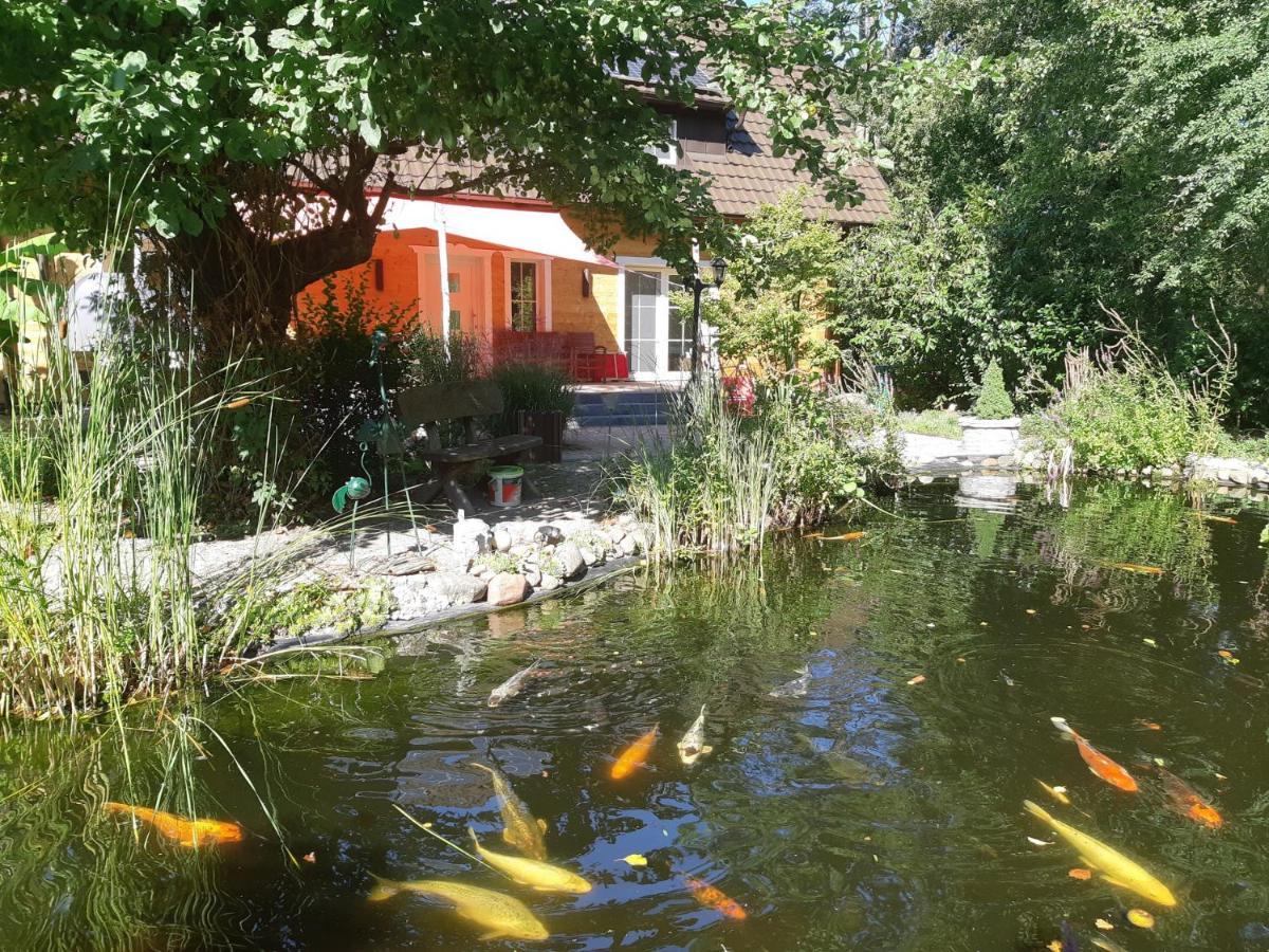 Salus Spreewald - Erholung & Natur - Kolonie  Kültér fotó